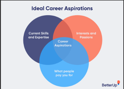 Career Aspirations